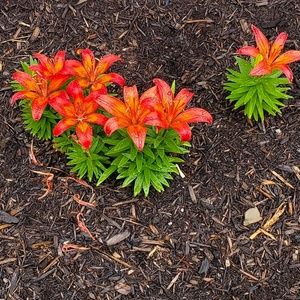 Meet your Posher, Valarie